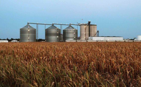 Industria etanolului în RM: Ce cantități exportăm și la ce preț - agroexpert.md
