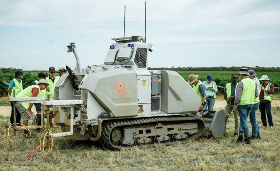 Роботизированному трактору для виноградников подвластны все виды работ - agroexpert.md
