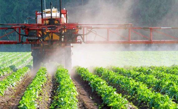 В ЕС закон о пестицидах снят с повестки из-за протестов фермеров - agroexpert.md