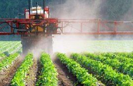 В ЕС закон о пестицидах снят с повестки из-за протестов фермеров - agroexpert.md