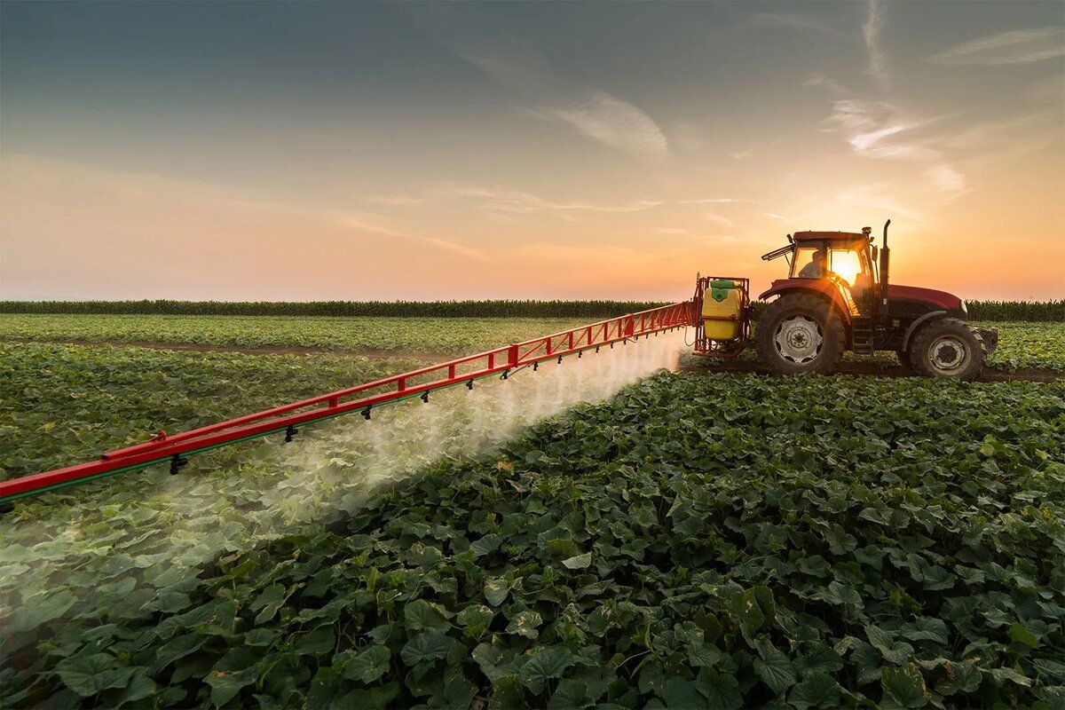 utilizarea pesticidelor - agroexpert.md