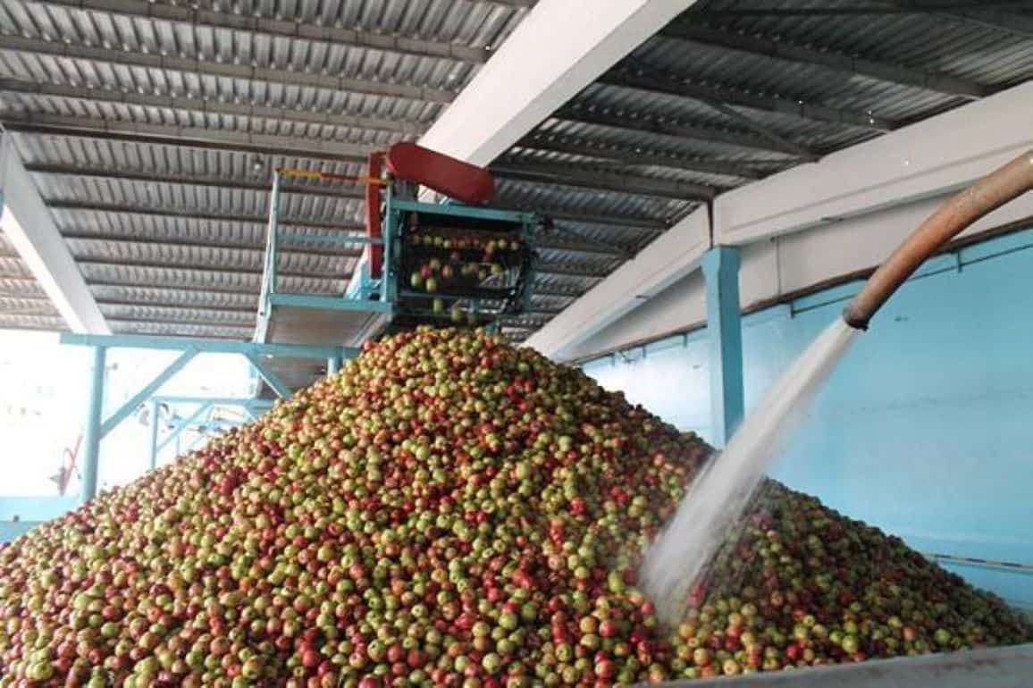 Фабрики по переработке фруктов возобновили работу в межсезонье - agroexpert.md