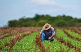 demers MAIA fermieri Edineț - agroexpert.md