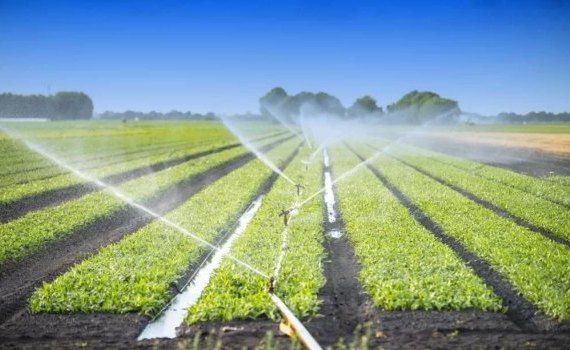 facturile la energie pentru irigațiile fermierilor - agroexpert.md