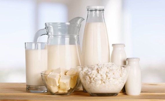 export produse lactate - agroexpert.md