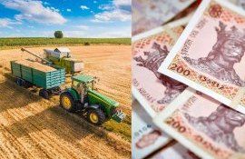 Restricționarea decontările cu numerar: Impactul asupra sectorului agricol - agroexpert.md