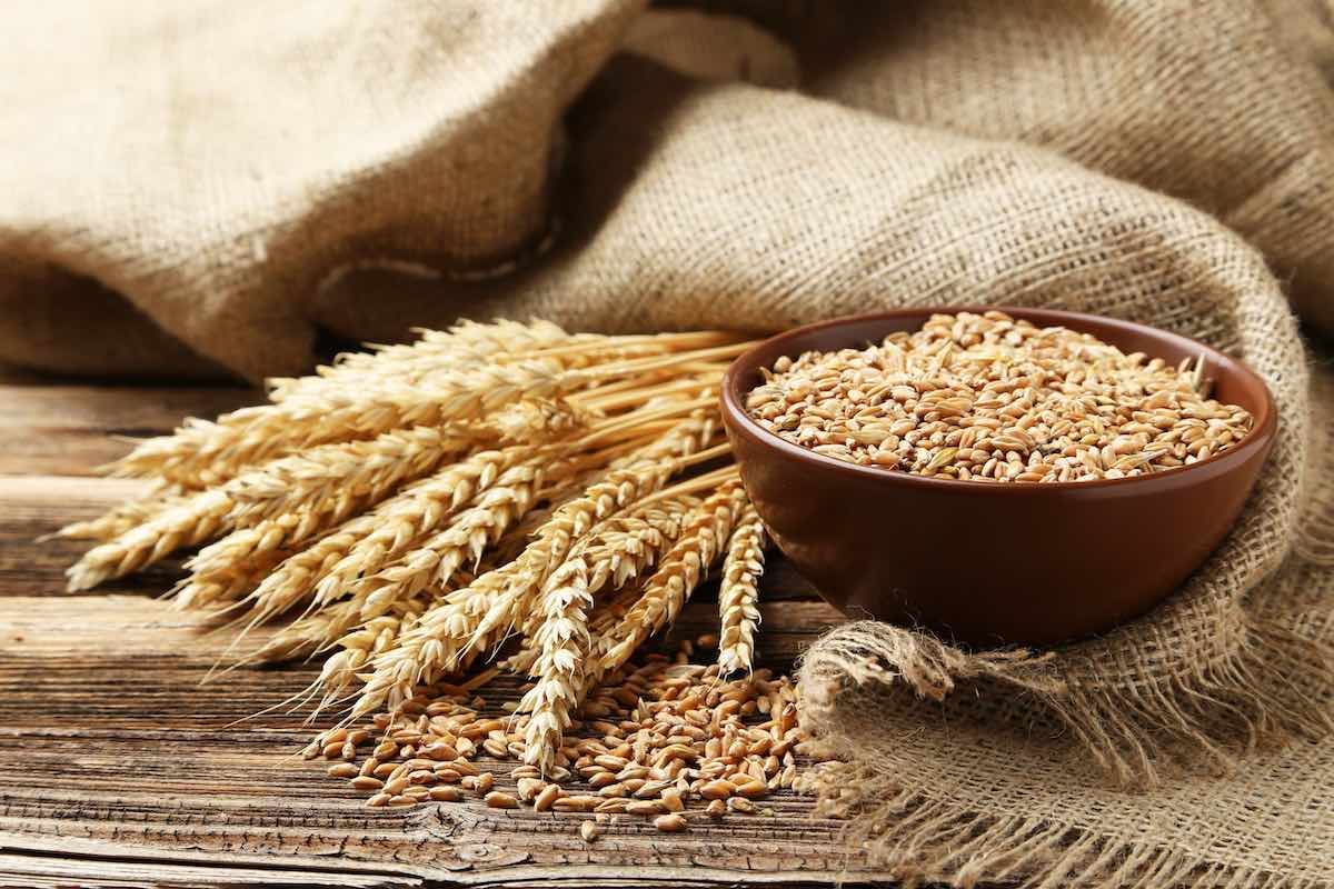 Prețurile la cereale și culturi oleaginoase sunt în scădere  - agroexpert.md