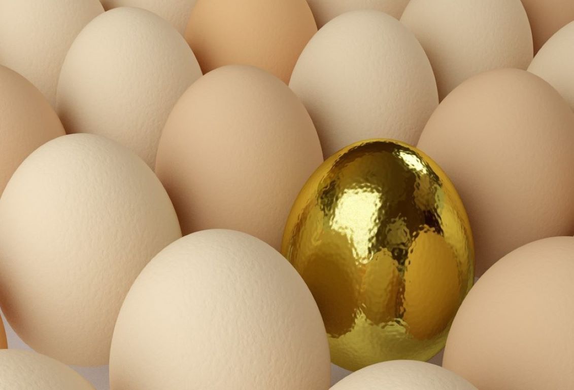 Причины подорожания куриного яйца – Британская версия - agroexpert.md