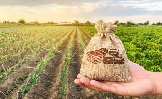 OPTIM susținere agricultura - agroexpert.md