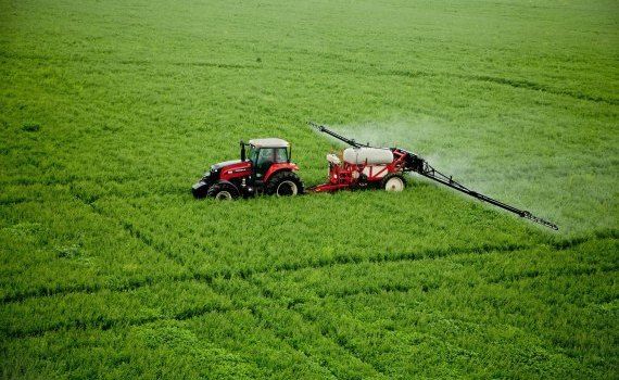 Индия удерживает второе место по экспорту агрохимикатов в мире - agroexpert.md