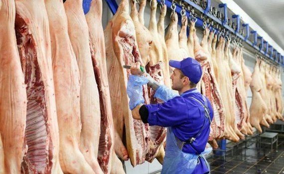 Rabobank: Крупнейшие производители свинины снизят свое производство - agroexpert.md