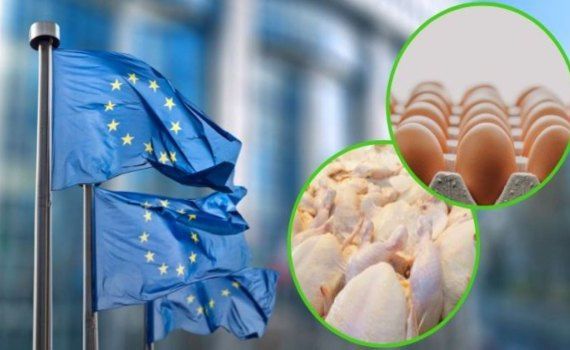 Ограничений на украинскую птицу, яйца и сахар для ЕС недостаточно - agroexpert.md