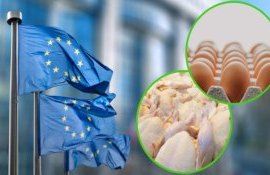Ограничений на украинскую птицу, яйца и сахар для ЕС недостаточно - agroexpert.md