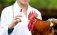 В США работы над вакциной от птичьего гриппа подходят к финишу - agroexpert.md