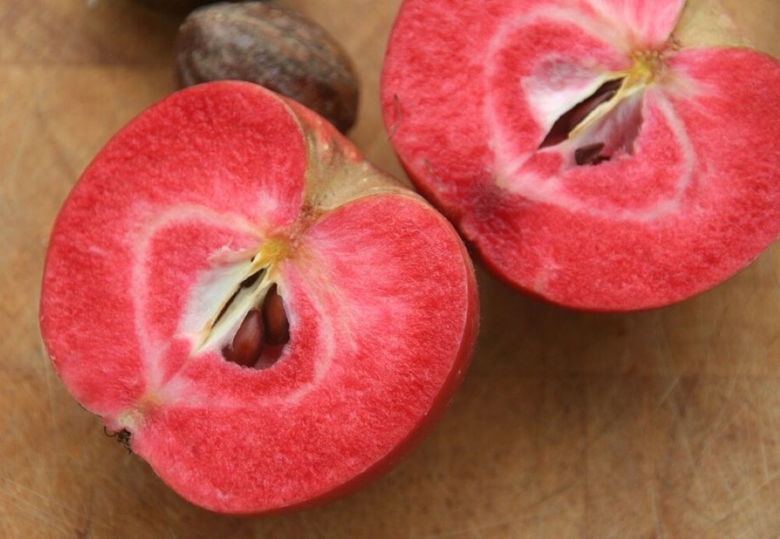 ГМО-сорт яблока с красной мякотью получился очень вкусным и полезным! - agroexpert.md