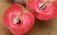 ГМО-сорт яблока с красной мякотью получился очень вкусным и полезным! - agroexpert.md