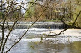 Использование удобрений и пестицидов снизило качества воды в Черном море - agroexpert.md