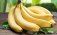 В мире приступили к выращиванию ГМО-бананов для массовых продаж - agroexpert.md