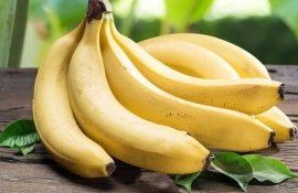 В мире приступили к выращиванию ГМО-бананов для массовых продаж - agroexpert.md