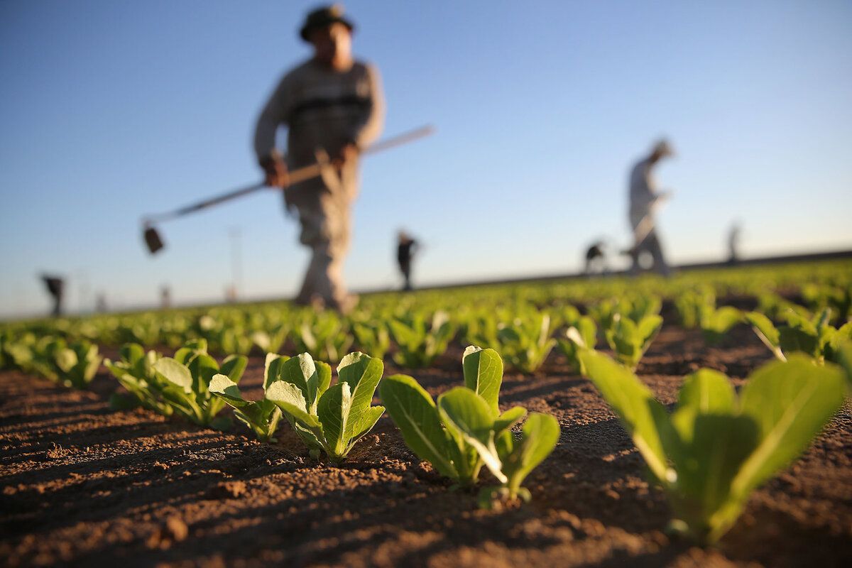 legumicultori propuneri MAIA - agroexpert.md