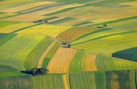 Севооборот как решающий фактор в управлении доходами и расходами - agroexpert.md