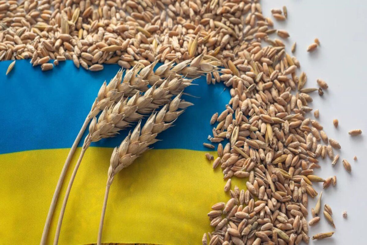 sectorul agricol Ucraina - agroexpert.md