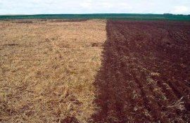 ЕС частично ослабил требования к землям под паром - agroexpert.md