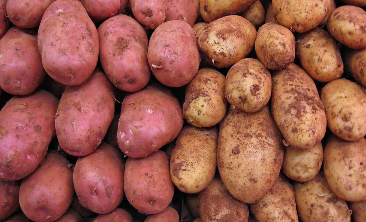 Молдова реэкспортирует в Украину белорусский картофель? - agroexpert.md