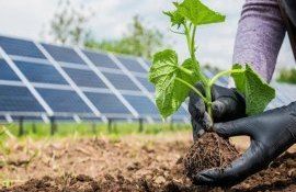 energia solară agricultura - agroexpert.md