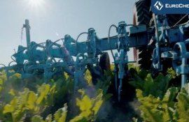 Рекомендации по внесению КАС-32. Кукуруза подсолнечник, сахарная свекла - agroexpert.md
