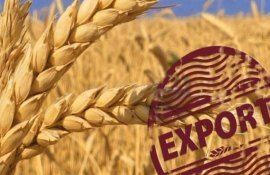 ЕС потеряло 19 млрд евро от либерализации торговли с Украиной - agroexpert.md