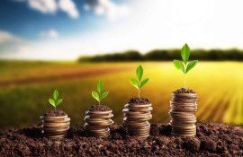 Ce presupune noul mecanism de creditare garantată  - agroexpert.md