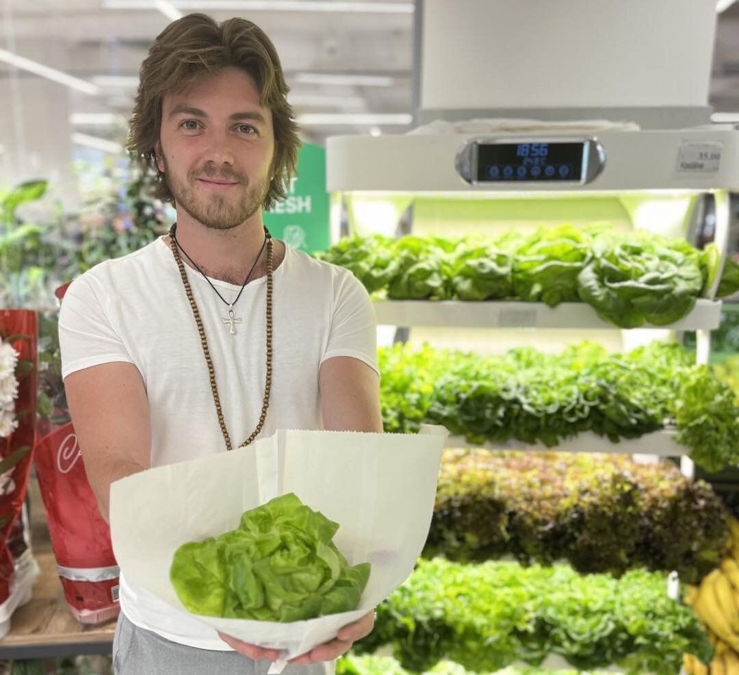 salate afacere Dmitri Albot - agroexpert.md