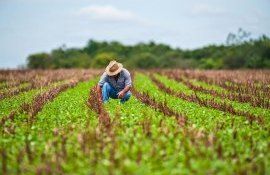 Producția agricolă în 2023 - agroexpert.md