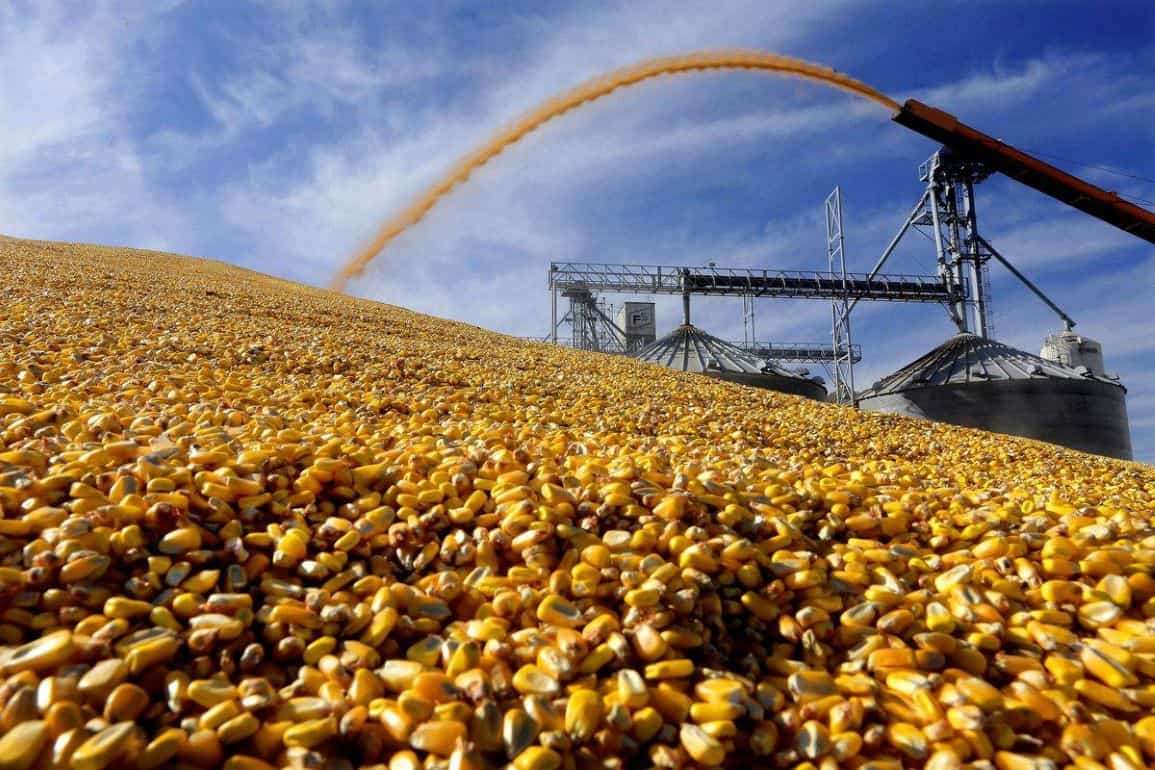 ЕС ожидает снижение импорта кукурузы в текущем сезоне - agroexpert.md