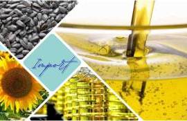 Турция до конца сезона увеличит импорт подсолнечного масла - agroexpert.md