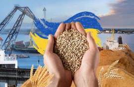 Украина готова ограничить торговлю с ЕС, но с условием - agroexpert.md
