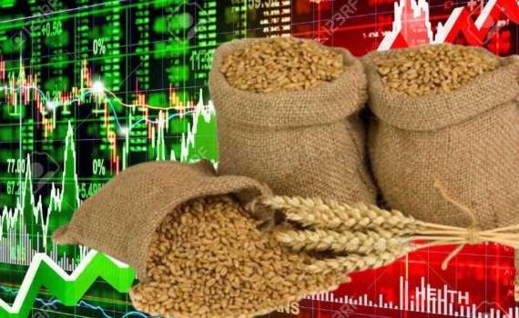 Мировой рынок зерна: Мягкая  пшеница обновила многолетние минимумы - agroexpert.md