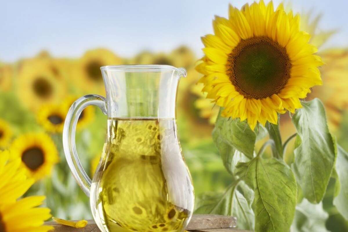 export ulei de floarea soarelui -agroexpert.md
