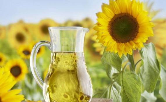 export ulei de floarea soarelui -agroexpert.md