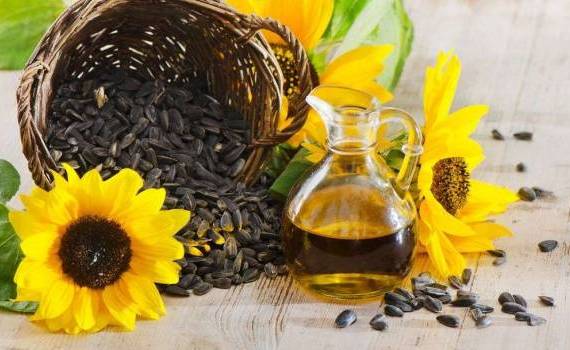 prețurile la uleiul și semințele de floarea soarelui - agroexpert.md