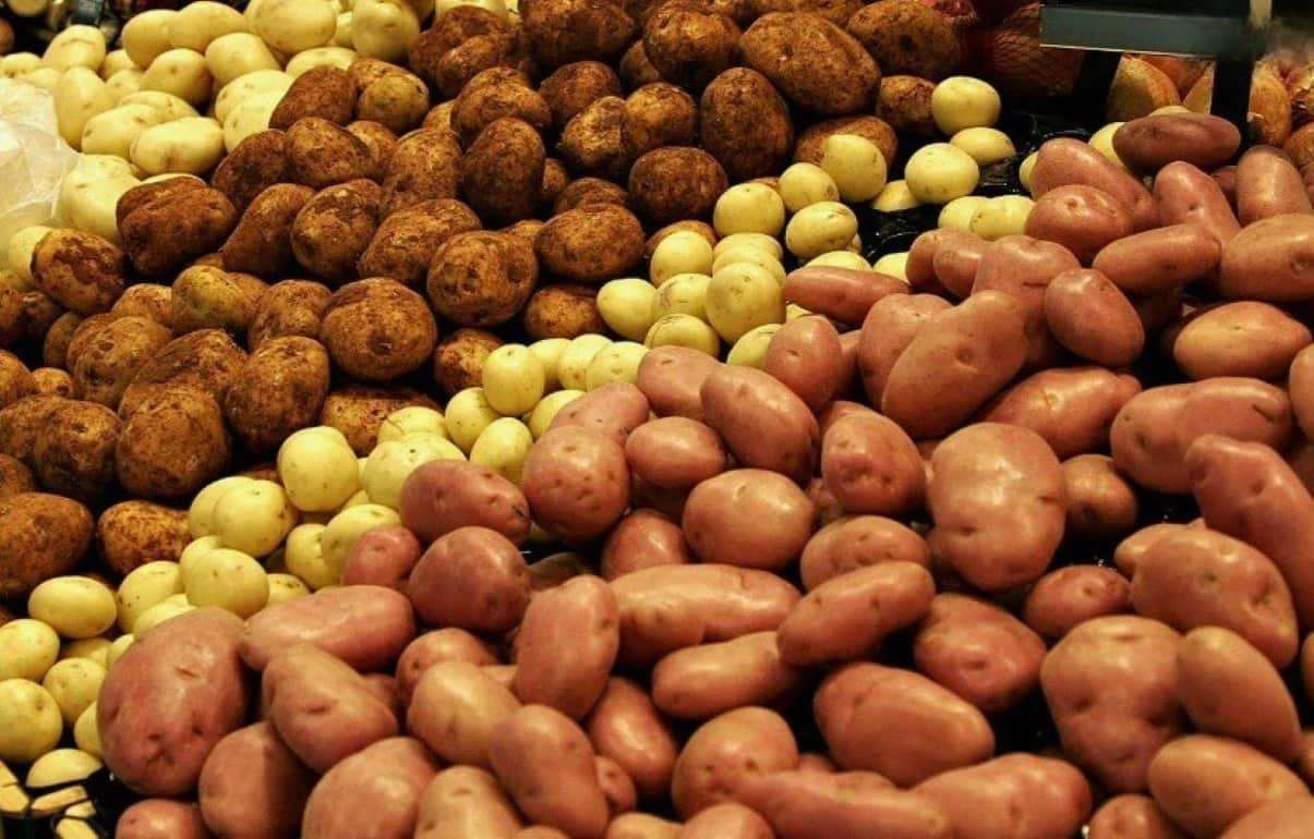 Почему в Молдове снижаются оптовые цены на импортный картофель? - agroexpert.md