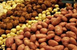 Почему в Молдове снижаются оптовые цены на импортный картофель? - agroexpert.md