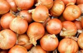Снижение оптовых цен на лук в Молдове продлится недолго – мнение - agroexpert.md