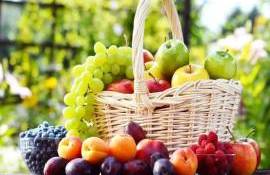 produse moldovenești UE fără taxe de import - agroexpert.md