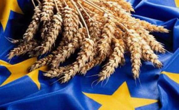 Страны ЕС с начала сезона экспортировали более 20 млн тонн пшеницы - agroexpert.md