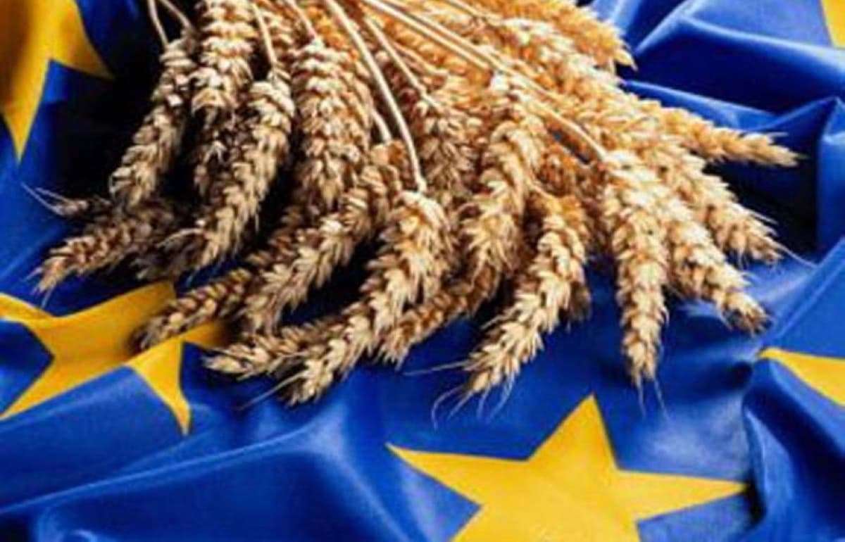 Страны ЕС с начала сезона экспортировали более 20 млн тонн пшеницы - agroexpert.md