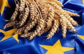 Страны ЕС с начала сезона экспортировали более 20 млн тонн пшеницы - agroexpert.md