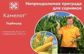 Камелот® — Непреодолимая преграда для сорняков - agroexpert.md