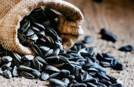 На рынке Болгарии цена подсолнечника повысилась в среднем на 10$/т - agroexpert.md